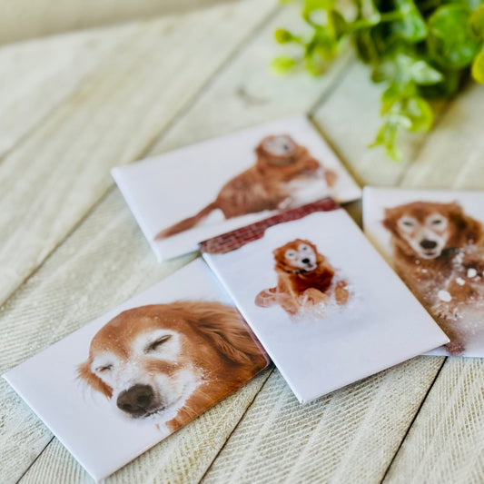 2" x 3" Custom Photo Magnets