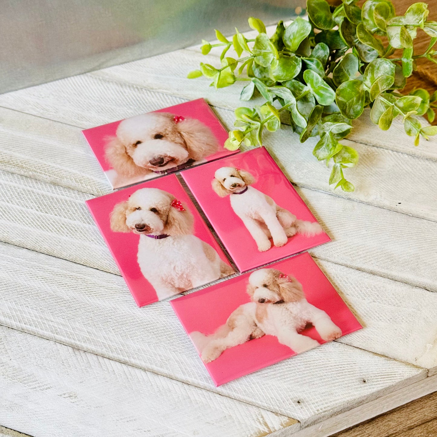 2" x 3" Custom Photo Magnets